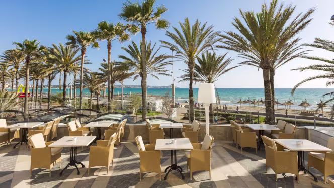 Salty Restaurant - 0