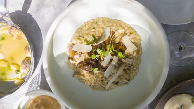 Raízes - Vila Nova de Gaia - 1