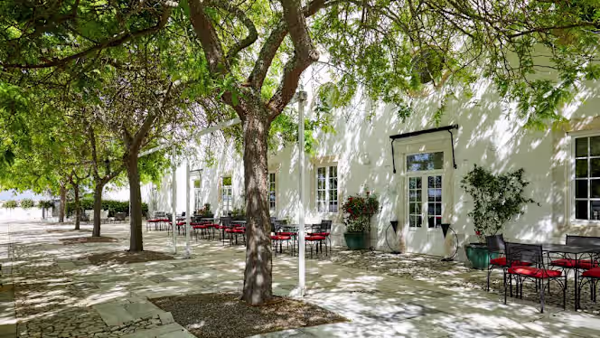 Alentejo à Mesa - 6