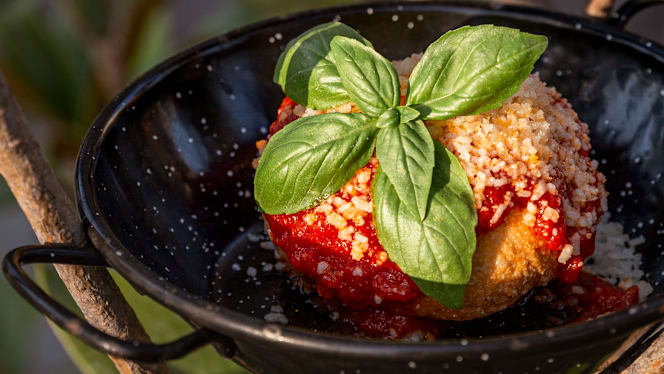 Frugale Food Garden - 6