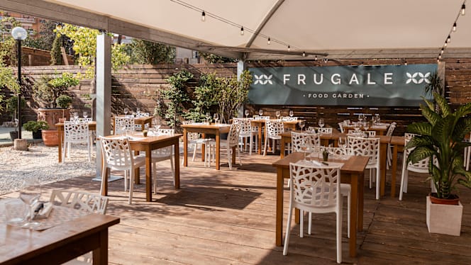 Frugale Food Garden - 8