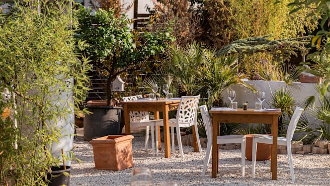 Frugale Food Garden - 7