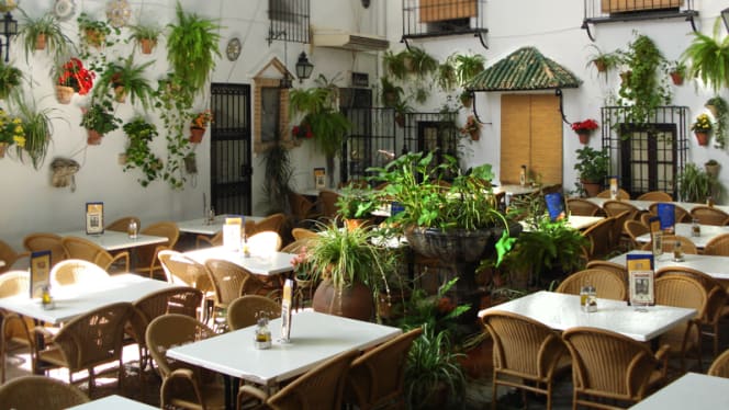 Los Patios - Cordoba - 6