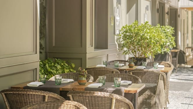 Il Basilico - Lisboa - Lisboa - 6