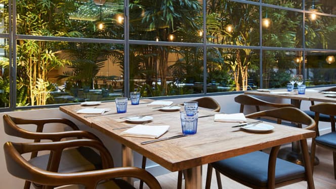 Il Basilico - Lisboa - Lisboa - 0