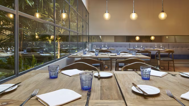 Il Basilico - Lisboa - Lisboa - 4