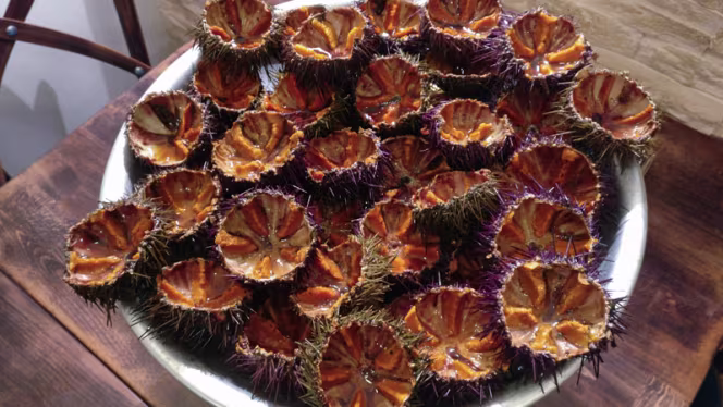 Entre Terre et Mer - 4