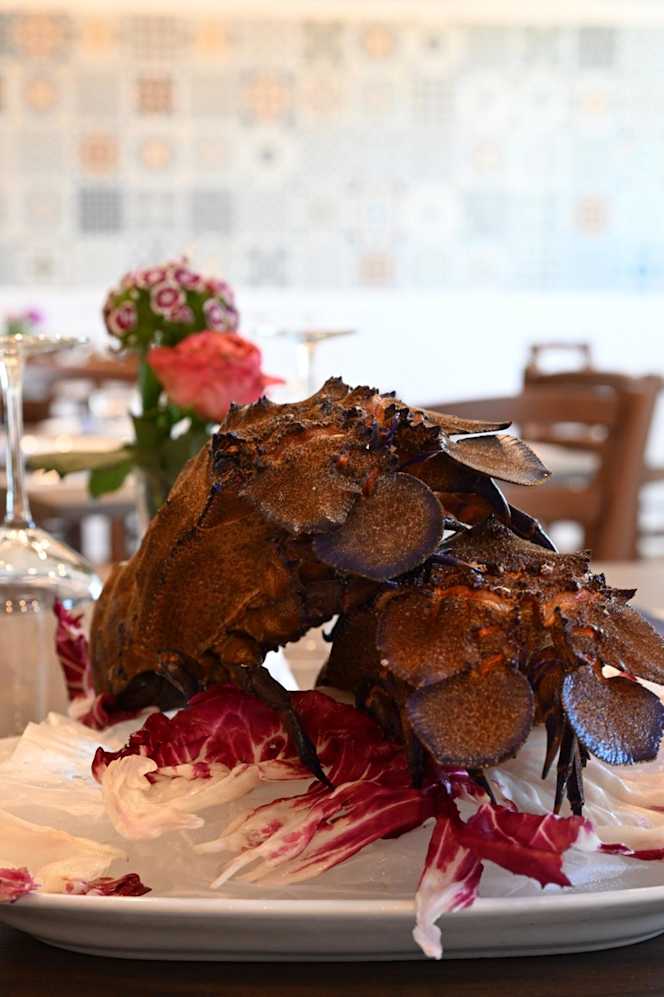 Macco Hosteria - 5