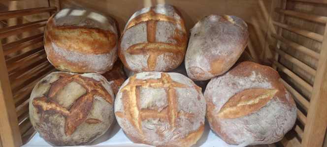 Le delizie di Puglia e Basilicata - 4