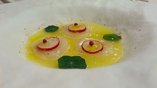 Olio su Tela Bistrò - 4