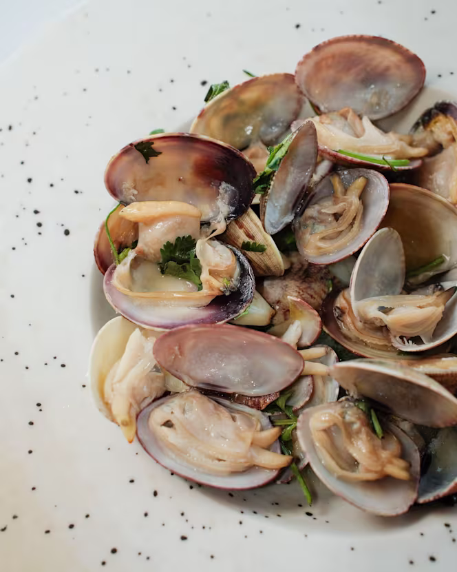 Splendido Vilamoura Bar & Restaurant - 7