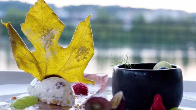 Terraço Bairrada - Coimbra - 5