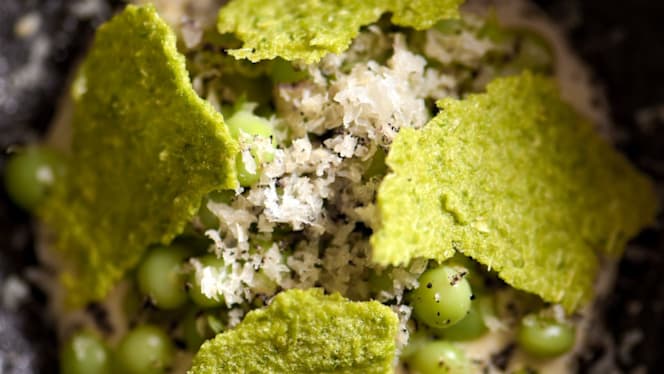 Gunnen (Alegría Compartida) - 1