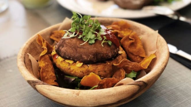 Eleven Lab Concept - River - 9