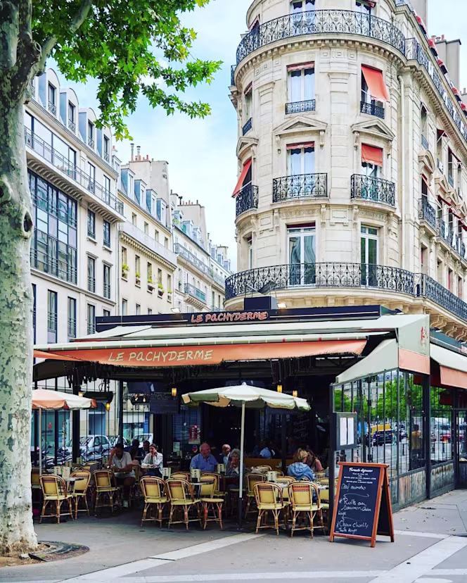 Le pachyderme - 3