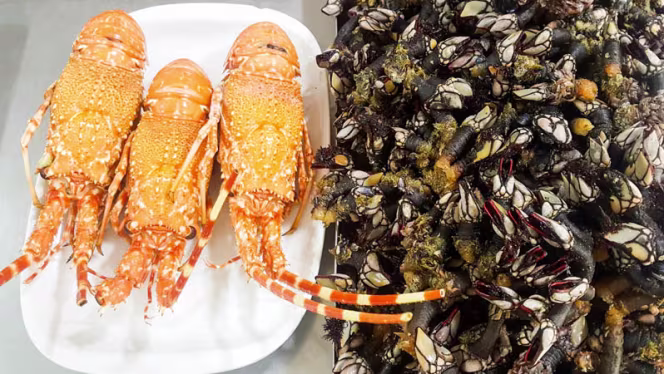 A Penalva da Graça - 0