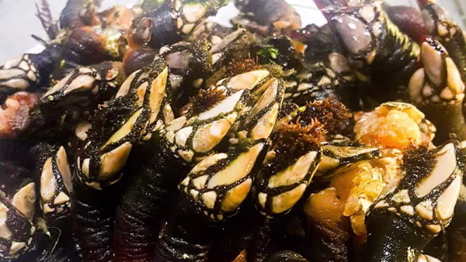 A Penalva da Graça - 4