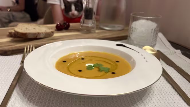 El Salon de mi Casa Cat Cafe - 2