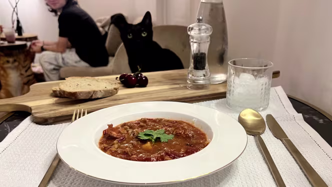 El Salon de mi Casa Cat Cafe - 4