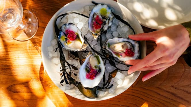 Mira by Gathering - 0