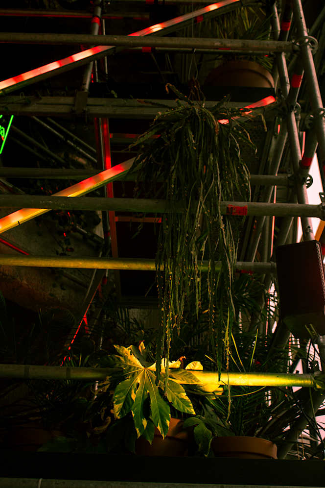 La Verrière - Lille - 8