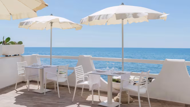 Il Cavalluccio Marino - 6