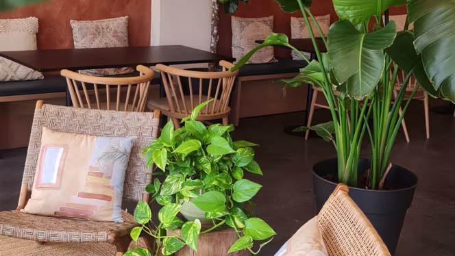 Coffeenatu by Costa´s - Vila de Prado - 9