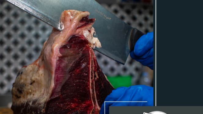 Affuoco Gastronomia D'autore - 3