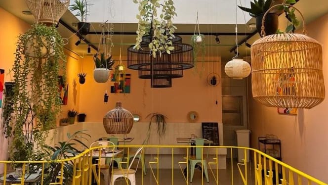 Gingembre Noailles - 8