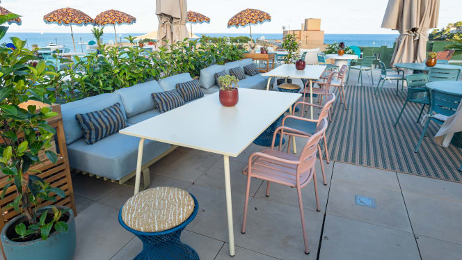 Shallow Sun Club - 3