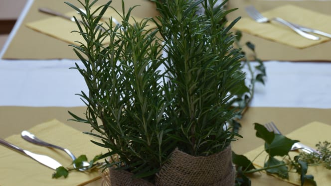 Timo e Rosmarino - 8