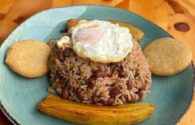 Las Palmeras 2.0 - 9