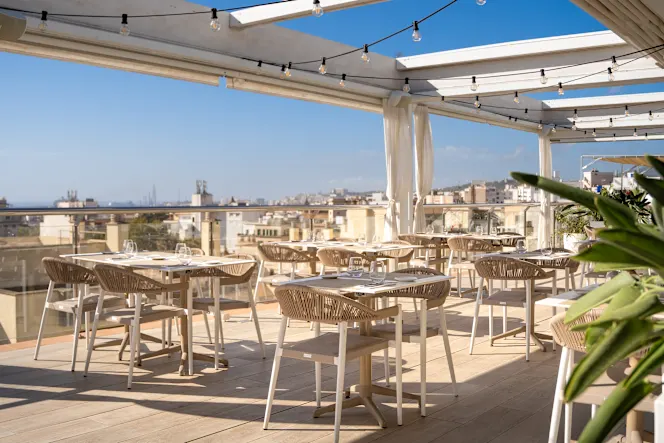 Pintamonas Rooftop - 0