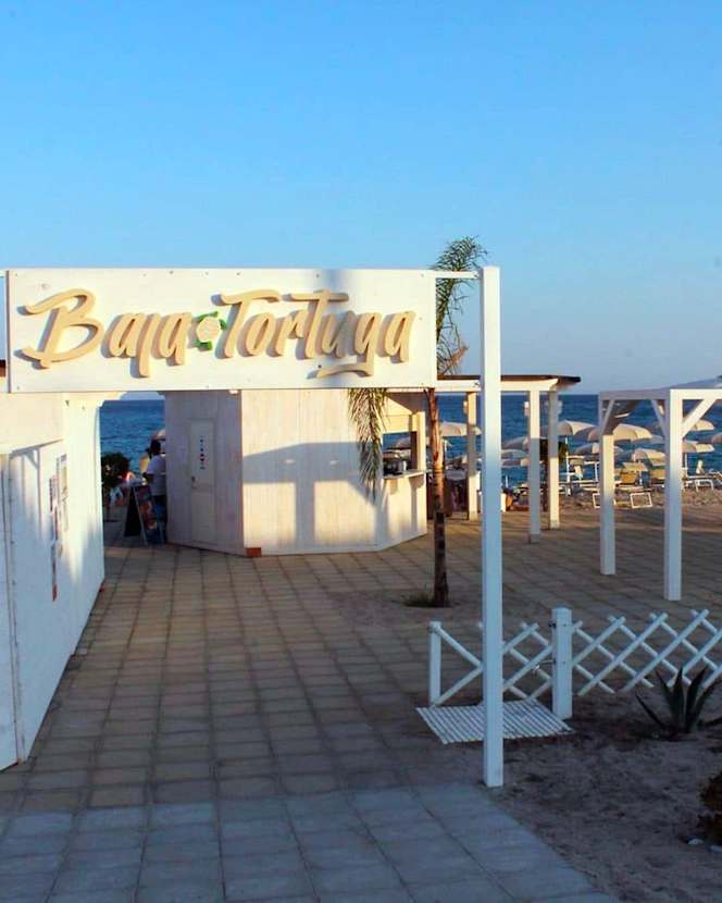 Baja Tortuga - 4