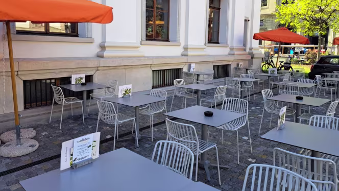 L’Olivier du sacré cœur - 4