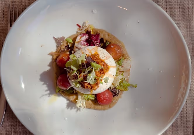 La Terraza del Jarama - 8