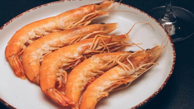 Carolino - Coimbra - 4