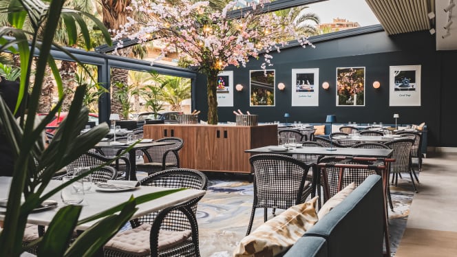 Pelican Playa San Juan - 0