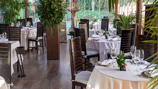 Thai Arturo Soria - 8