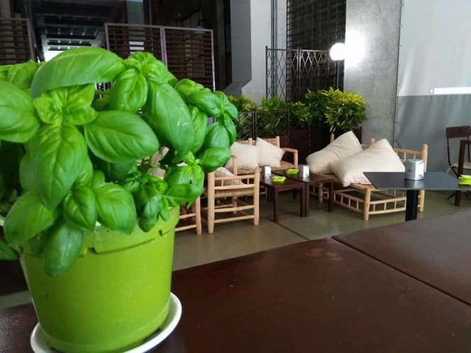 Basil Lounge Bar - 7