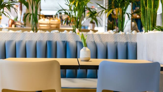 Kalimera San Vincenzo - 6