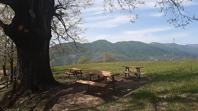 Fattoria Bonaria Montaglioni - 1