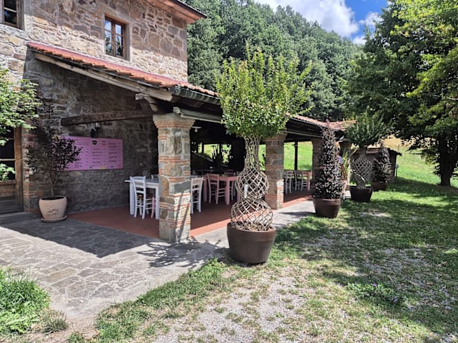 Fattoria Bonaria Montaglioni - 4