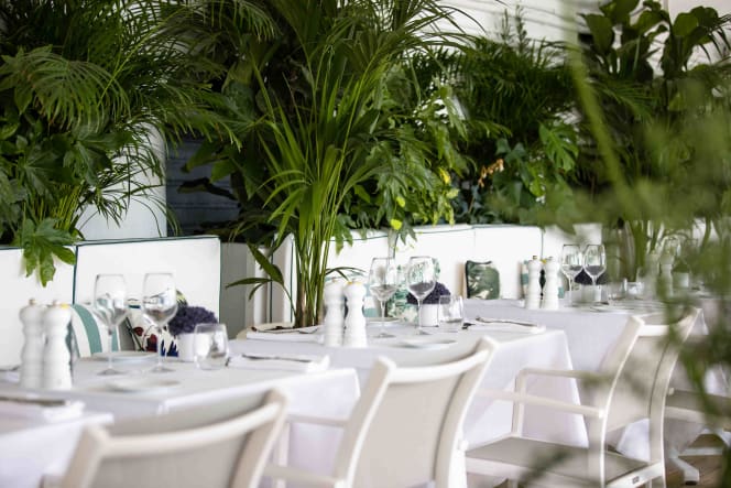 La Plage du Negresco - 7