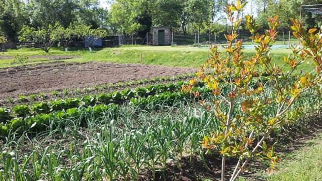 Asador la Fuente - 0