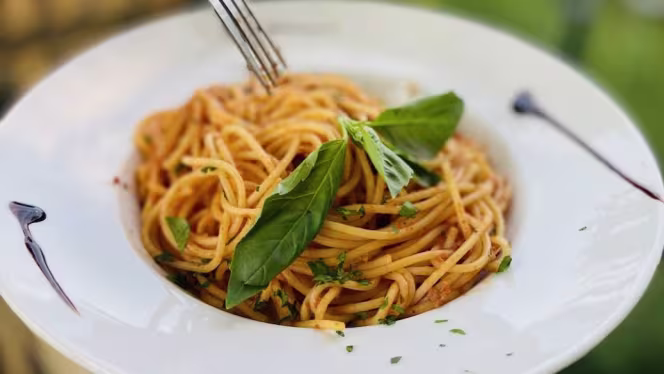 La Terrasse - Maisons-Laffitte - 7