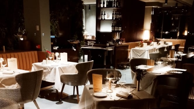 Ciro in Florence - 5