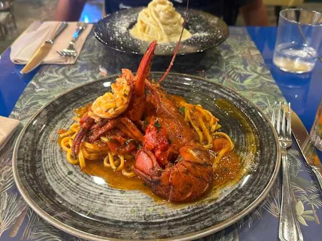 NEGRESCO bocca di leone - 1