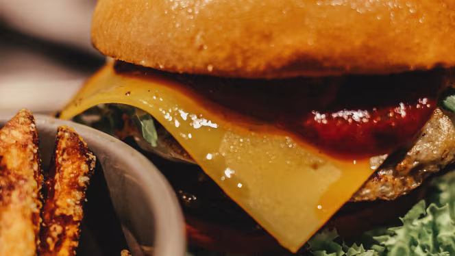 Daintree Kempten - 1