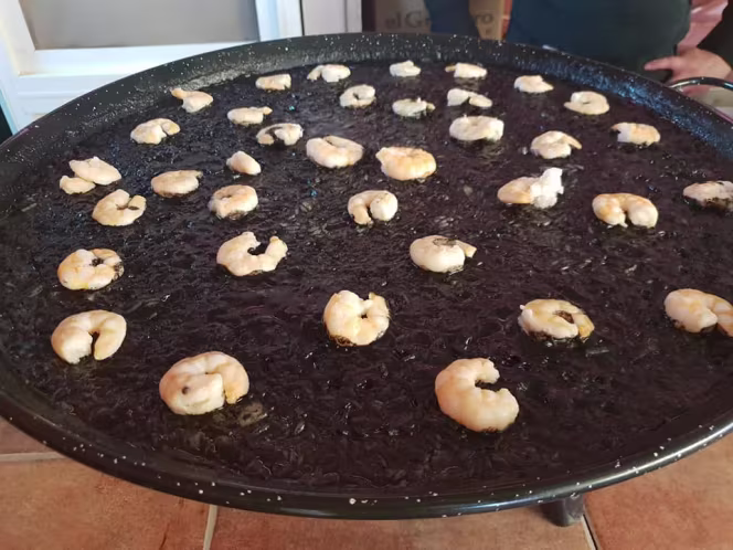 Venta Los Pozuelos - 1